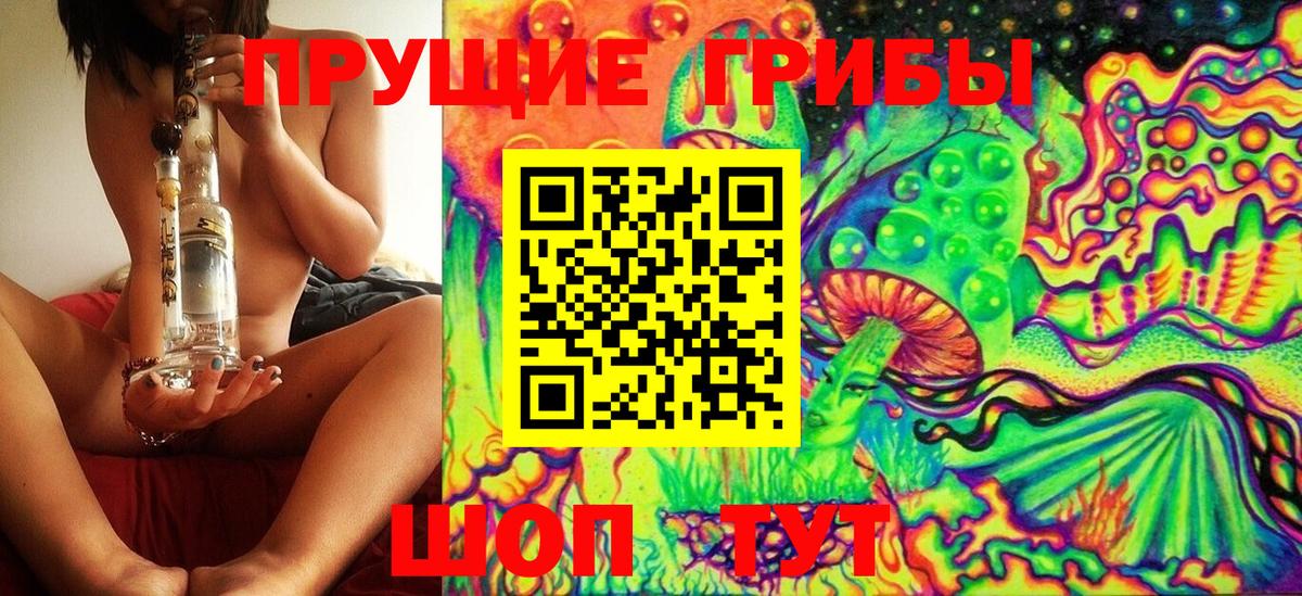 Псилоцибиновые грибы Psilocybe Алатырь