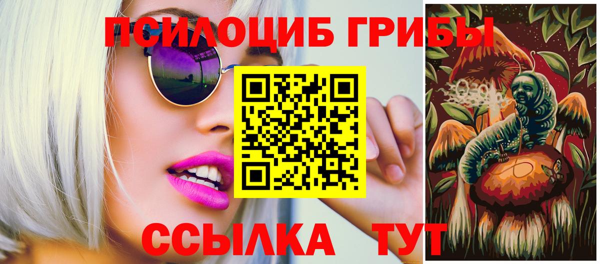Алатырь  Галлюциногенные грибы MAGIC MUSHROOMS  Вход с VPN  Галлюциногенные грибы мицелий 